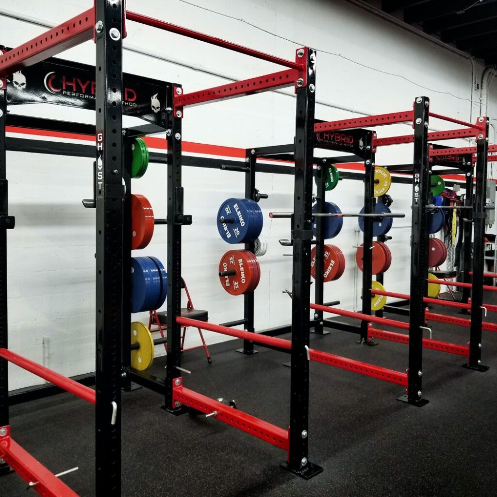 squat exercise for building leg muscles